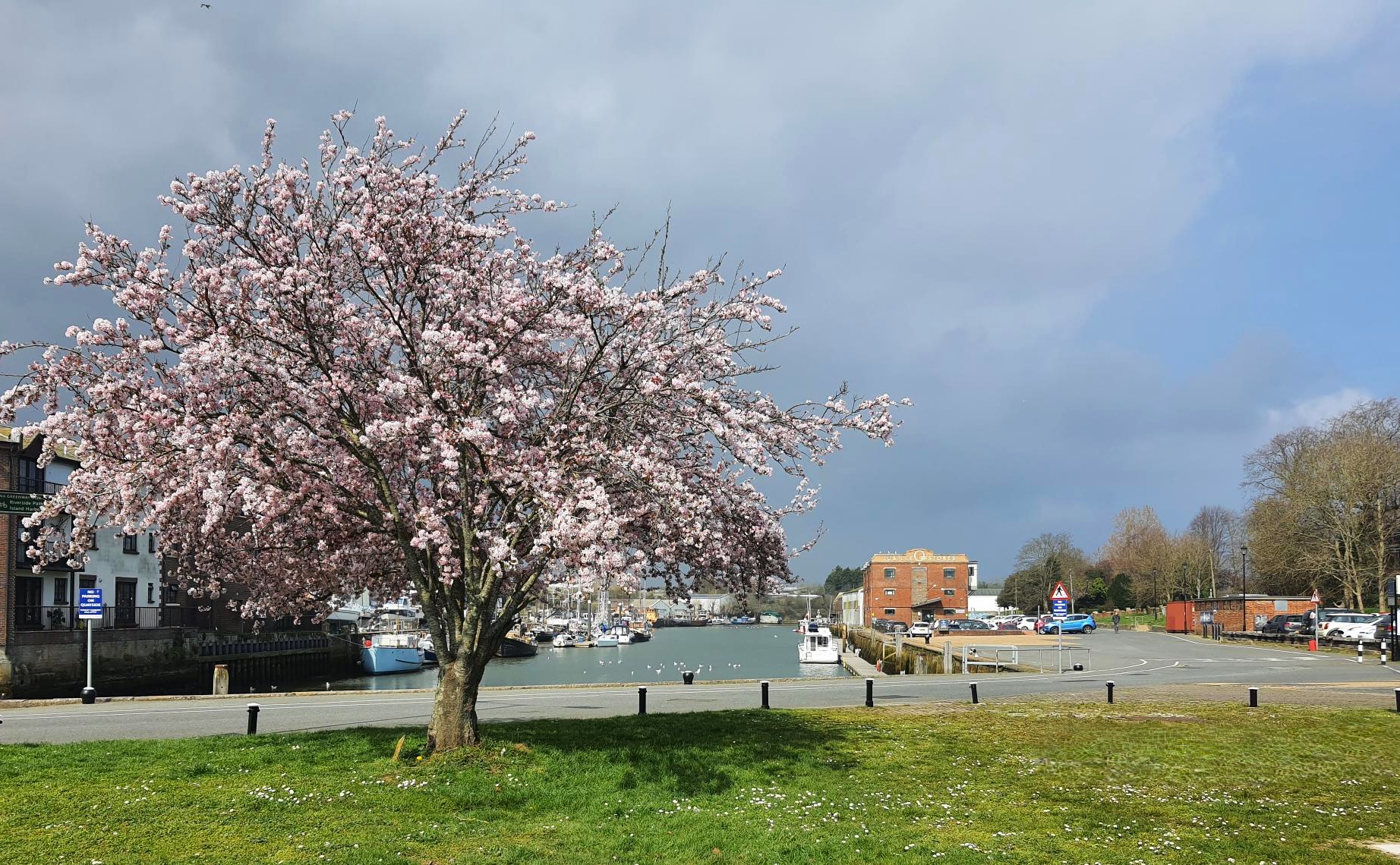 Cherry tree harbour Newport Harbour